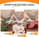 SPEDOL Kitchen Scissors Food Cutting: Heavy Duty Poultry Meat Shears - Stainless Steel All Purpose for Home Cooking & Restaurant - Image 3