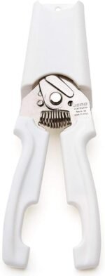 Jero Stainless Steel Kitchen Shears with Holder - Perfect for Herbs, Floral Trimming and Kitchen Use - Made in Portgual - Image 4