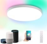 DoHome HomeKit Smart LED Ceiling Lights RGBCW Color Changing Ceiling Light Work with Apple HomeKit, Alexa Google Home Flush Mount Ceiling Lamp 24W Dimmable for Living Room, Bedroom, Home Use - Image 2