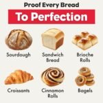 Brod & Taylor Folding Proofer & Slow Cooker (Proofer) - Image 4