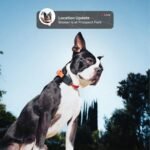 Fi Mini GPS Tracker for Dogs — 12-Month Membership Included — Smart Pet Tracking Collar Attachment — Lightweight, Virtual Fences, Escape Alerts, Step & Health, Waterproof - Image 3
