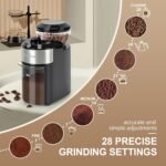 Lonkion Burr Coffee Grinder - Electric Coffee Bean Grinder with 28 Adjustable Grind Settings For 2-12 Cups - Adjustable Coffee Grinders for Home Use - Easy to Use - Stainless Steel - Image 3