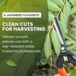 Saboten 7.9" Professional Japanese Harvesting Shears, Straight Precision Blade, Black Fluorine-Coated Stainless Steel, Spring-Loaded, Shock-Absorbing Grip, Safety Lock, Made in Japan - Image 4
