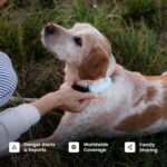 Tractive Smart Dog GPS Tracker | Live Pet Tracker with Virtual Fence | Vital Signs Monitoring of Heart & Respiratory Rate | Bark Monitoring | Dog Collar Attachment (Brown) - Image 8