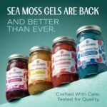TrueSeaMoss Sea Moss Gel – Made in USA – Wildcrafted Seamoss, Fruits & Jarred Vegetables – Strawberry, Pack of 1 (Labels may Vary) - Image 3