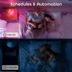 Geeni Prisma Smart Light Bulbs 2-Pack, Color Changing RGBW LED, A19, 800 Lumens, 60W Equivalent, Dimmable, 2700K, Works with Alexa & Google Home - Image 5