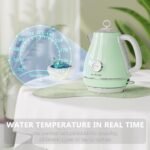 Evoloop Electric Tea Kettle, 1500W /1.7 Liter Hot Water Boiler Heater Pot, Retro Electric Kettle with Thermometer, Auto Shut-Off & Boil-Dry Protection, BPA Free,Stainless Steel Teapot - Image 3