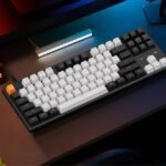 Keychron C1 Wired Mechanical Keyboard TKL, RGB Backlit with Double-Shot ABS Keycaps, 87 Keys Hot-Swappable Pre-lubed Tactile Switch Compatible with Mac Windows - Image 4