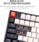Keychron C1 Wired Mechanical Keyboard TKL, RGB Backlit with Double-Shot ABS Keycaps, 87 Keys Hot-Swappable Pre-lubed Tactile Switch Compatible with Mac Windows - Image 5