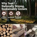 PriorityChef Premium Teak Wooden Spoons for Cooking, Non-Stick Safe and Heat Resistant 6pc Wooden Utensil Set with Hanging Hooks, Wood Cooking Utensils - Image 5