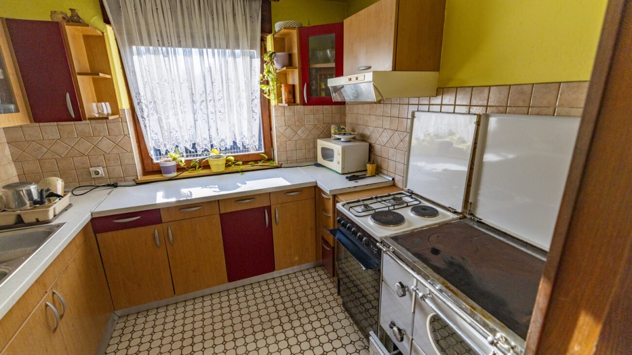 Every Boomer Recognizes This Frog That Lived By The Kitchen Sink