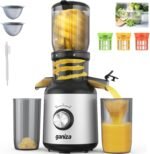 Ganiza Juicer Machines, Slow Masticating Juicers with Large Feed Chute for Whole Fruits & Vegetables, Cold Press Juicer with 3 Replace Filters for Batch Juicing, Easy to Clean, BPA Free(Silver) - Image 2