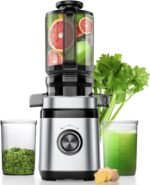 Juicer Machines, Cold Press Juicer with Wide Feed Chute, Slow Masticating Juicers for Whole Vegetables & Fruits, High Juice Yield, Easy to Clean, Large Auger, Light Silver - Image 2