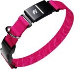 New Fi Series 3+ Smart Dog Tracker Collar [6 Month Membership Included] GPS Tracker for Dogs with Health & Behavior Monitoring, Escape Alerts, Waterproof, LED, Apple Watch Compatible (Pink, Medium) - Image 2