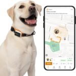 Pawfit 3 GPS Pet Tracker GPS Dog Tracker 4G Live Tracking, Smart Alerts, Fully Waterproof Activity Monitor for Pets, Unlimited Range, Remote Voice Recall, Fits All Collars, 30 Day Free Subscription - Image 2