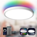 TALOYA Smart Ceiling Light Flush Mount LED WiFi,Compatible with Alexa Google Home,Dimmable Low Profile Ambient Light Fixture for Bedroom Living Room Hallway Kitchen Nursery,12 Inch,RGB - Image 2