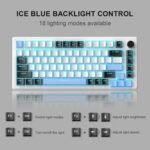 MageGee 75% Mechanical Gaming Keyboard, Compact Blue Backlit Wired Gaming Keyboards with Brown Switches, EVA Foam, Knob Control, STAR75 Portable NKRO PC Gaming Keyboard - White & Blue - Image 3