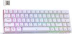 DIERYA DK63 60% Wireless Mechanical Gaming Keyboard | Bluetooth/2.4G/Wired Keyboard | RGB Backlit Compact 63 Keys Mini Office Keyboard | with Blue Switch | for Windows Laptop PC Gamer Typist-White - Image 2