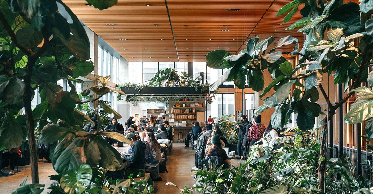 How I Got My Job Running Cafes Out of Climbing Gyms