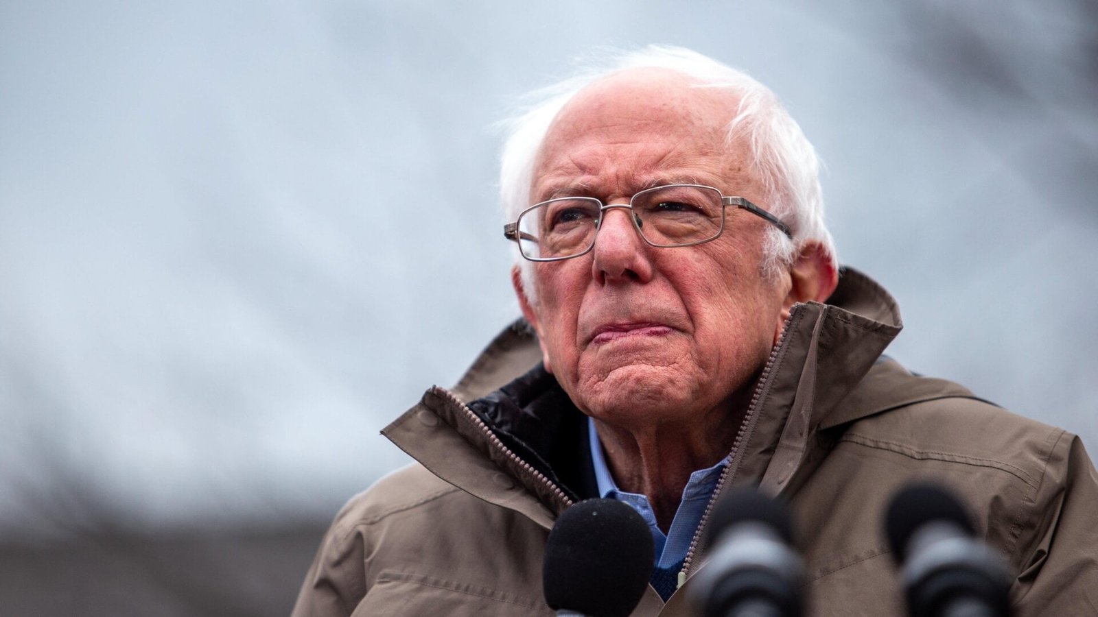 Over 2/3 of Americans Support Bernie Sanders-Style AI Stock Ownership Plan, Poll Shows Over 2/3 of Americans Support Bernie Sanders-Style AI Stock Ownership Plan, Poll Shows