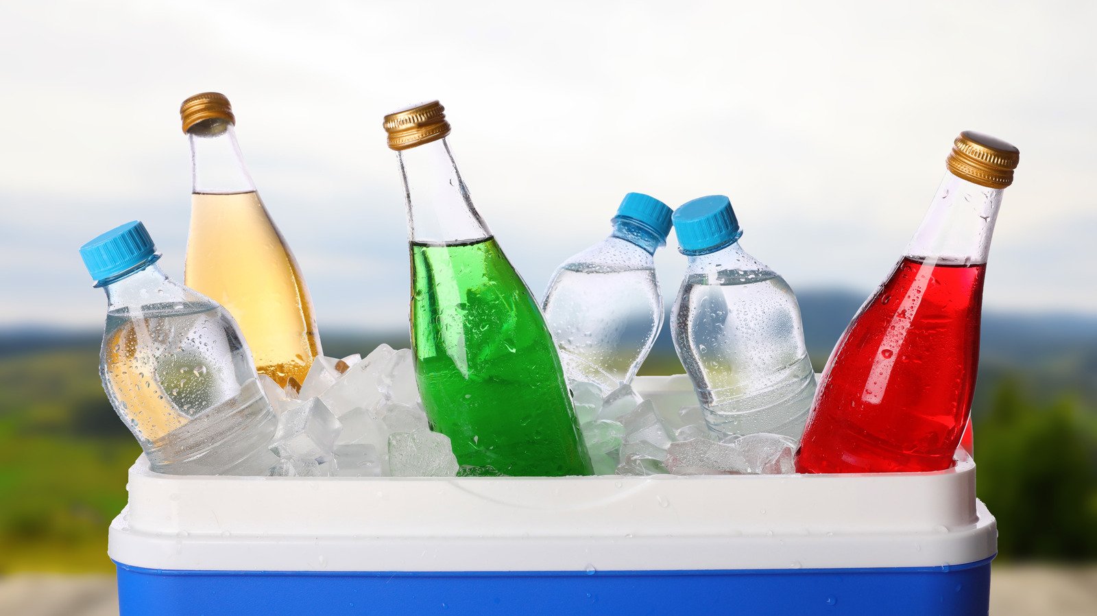 The Simple Cooler Trick That Keeps Summer Snacks Cold For Hours The Simple Cooler Trick That Keeps Summer Snacks Cold For Hours